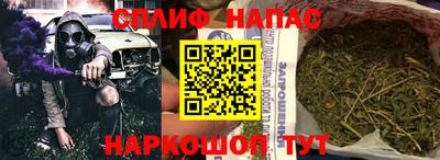 Альфа ПВП Новозыбков