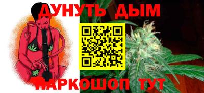 Альфа ПВП Новозыбков
